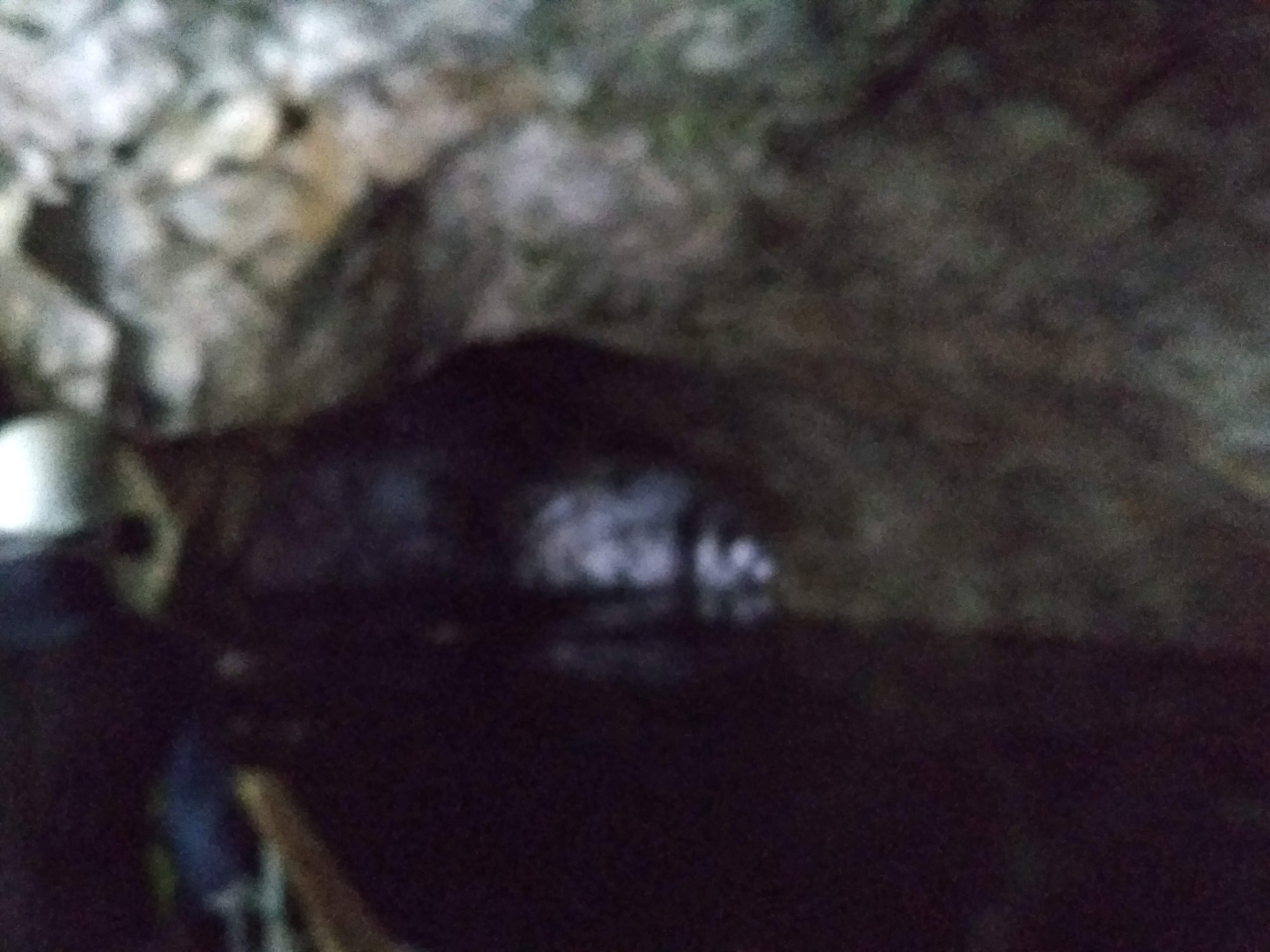 IMG_20180623_185107_HHT