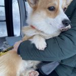 Зеленец Польша, горы зима 2021 года